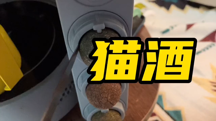 做了猫酒，大脑袋全干进去了，酒量杠杠滴