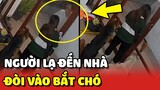 Người đàn ông lạ đòi vào nhà BẮT CHÓ ĐI vì giống với chó của họ  | Yêu Lu