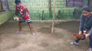 HIRAW LAGITIK VS SMA HATCH