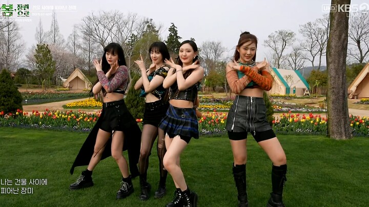 【4K60fps】H1-KEY - Rose Blossom (230331 KBS UHD Expo Taman Internasional Teluk Suncheon)