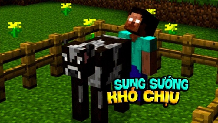 VIDEO MINECRAFT NÀY KHIẾN BẠN SUNG SƯỚNG VÀ KHÓ CHỊU.