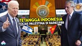 NEGARA SAHABAT ISRAEL MELAWAN DI SIDANG PBB! Inilah 9 Negara yang Menolak Palestina Jadi Anggota PBB
