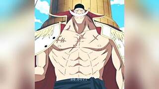 「WhiteBeard 💪」