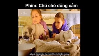 Tóm tắt phim: Chú chó dũng cảm