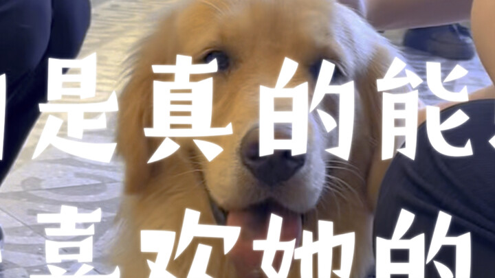 Dogs can really sense who truly loves them!