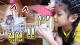 บ้านซิลวาเนียนแฟมิลี่ของซูซูและผองเพื่อน !! - DING DONG DAD