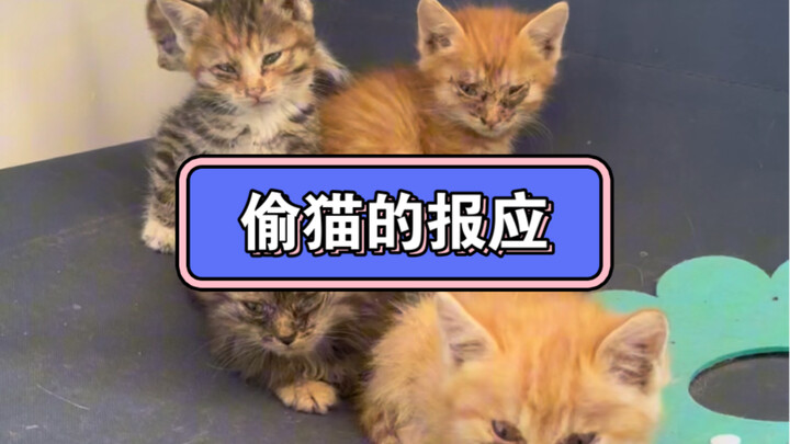 I never expected karma to strike so quickly!