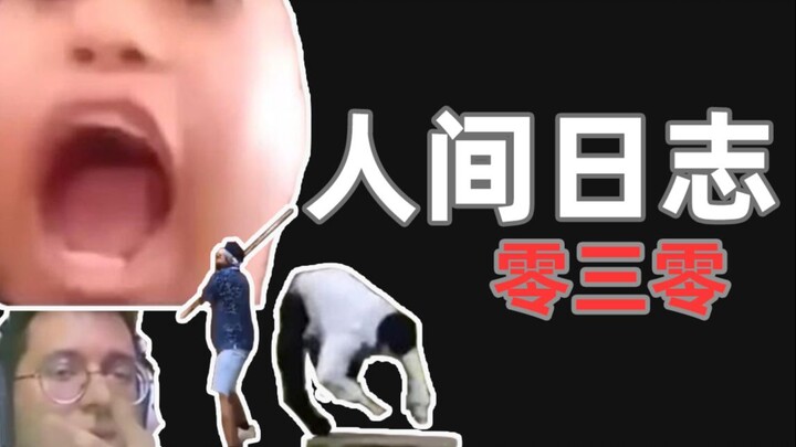 Human Observation Log 030