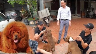 2 Bố Con Từ Phương Xa Về Giao Lưu Và Thăm Đàn Thú Cưng 100 Triệu Cùng Team Săn Bắt Ẩm Thực Vùng Cao