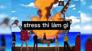 Stress thì phải làm gì???