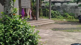 Kehidupan di Desa