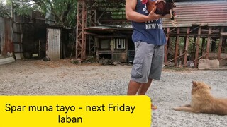 sparring May 19 2023 fight