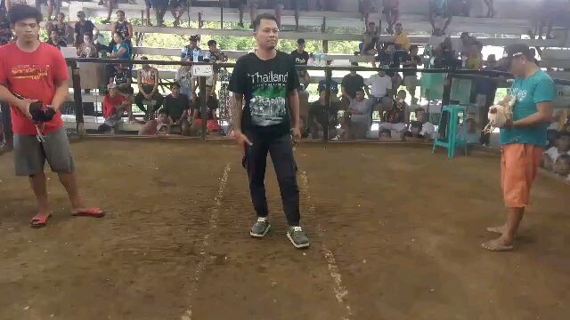 whatever jacket line