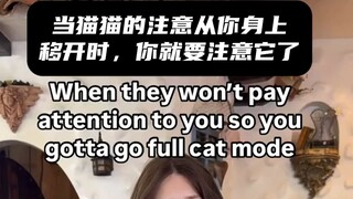 猫猫不管，猫猫就要闹