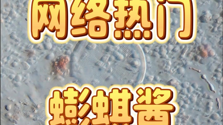 Ngày 14 tháng 5, tương còng – chế độ màn hình dọc: còng, tên khoa học là Sesarma dehaani, được nghiề