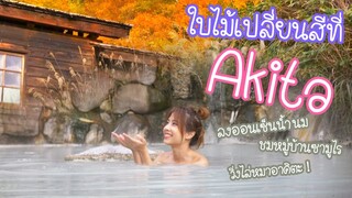 ออนเซ็นธรรมชาติสีแบบนี้เลยเหรอ !? เที่ยว Akita ฤดูใบไม้ร่วง 秋田の仙北市に行こう！