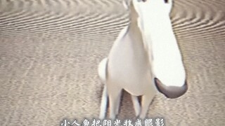 “那是我唯一逃离后室的办法，你却说我被骗了”