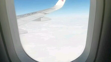 在飞机上看到了次人！！！《真•天宫孙悟空》