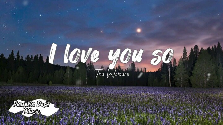 I love you so by the Walters - Lyrics /@Pumpkin Dash Music