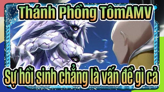 Thánh Phồng TômAMV
Sự hồi sinh chẳng là vấn đề gì cả