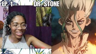 DR. STONE Episode 1 Reaction | Lalalfluffbunny