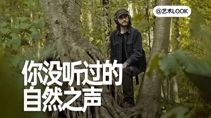 Voice Actor in Hunter x Hunter: What Do They Actually Do?