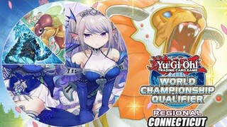 Naturia Negates The Competition! Yu-Gi-Oh! Connecticut Regional Breakdown December 2022