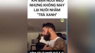 Khi bạn nuôi mèo nhưng lại nuôi nhầm "trà xanh" P1 pet petlover meow thucung meow tiktok learnontiktok