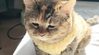 我觉得今天有点冷