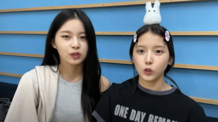 【NMIXX】تحدى الخطوات المنزلقة حتى تشعر بالإرهاق والقطط والكلاب تتدحرج على الأرض 🐱🐶 يجب أن تحضرا أخت ش