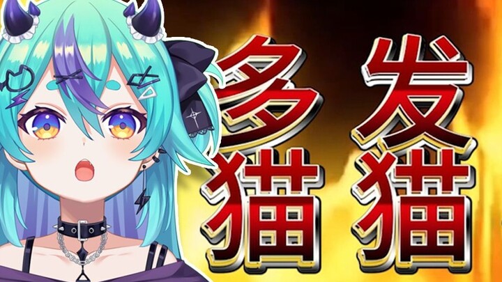 [Cat Thunder] I am completely captivated by the cute cats!