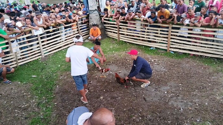 fiesta fun run kinapos ng swerte lose 2nd fight