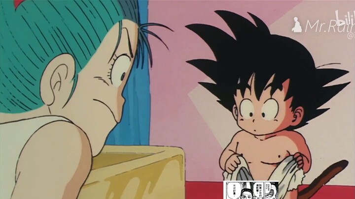 【Miscellaneous Talk】The Ordinary Savior·Bulma