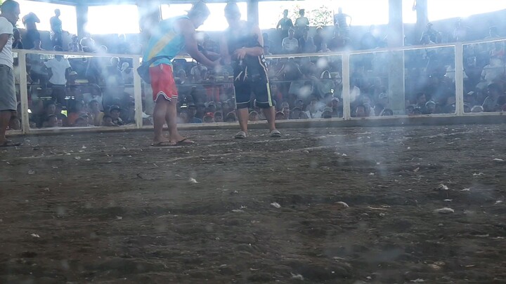 5th fight loss 7/16/23 3 wins 2 loss