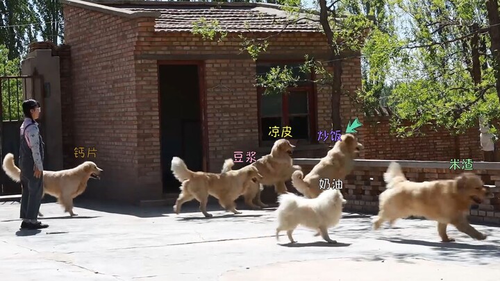 Fried Rice: When picking up balls, you should always take the shortest, straight-line distance.