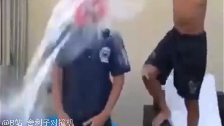 [Funny Daily Life of Earth Creatures #250]