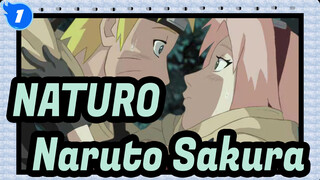 NATURO|[MAD]Naruto &Sakura_1