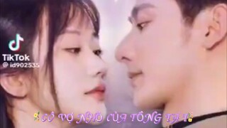 Cô Vợ Nhỏ Của Tổng Tài ( Trương Tấn Nghi ) Full