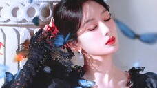 Nữ công tước đầy mưu lược Dương Tử! ! P