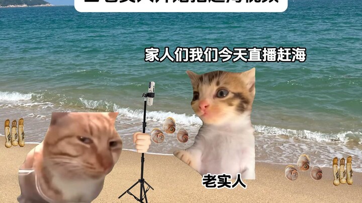 Khi những người hiền lành bắt đầu quay video đi bắt hải sản