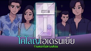 โคโลญไฮเดรนเยียร์ l ร้านดอกไม้ดวงเดือน