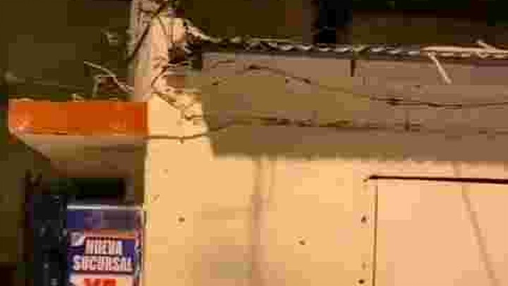 Lion king deleted scene 😂🦁🦁