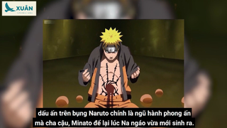 Springtang Xuân - Naruto và những thiệt thòi #Anime #Schooltime