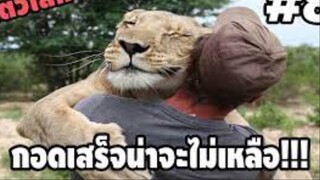 รวมคลิปตลกๆ : อยู่ดีๆก็อยากเป็นคนรักสัตว์!!