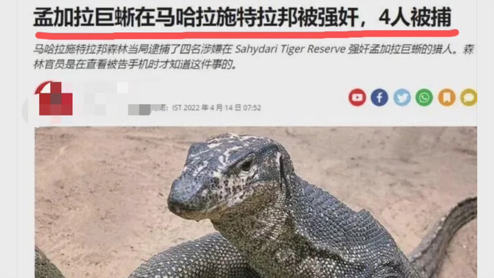 Thằn lằn khổng lồ Bangladesh bị cưỡng hiếp ở Maharashtra, 4 người bị bắt!