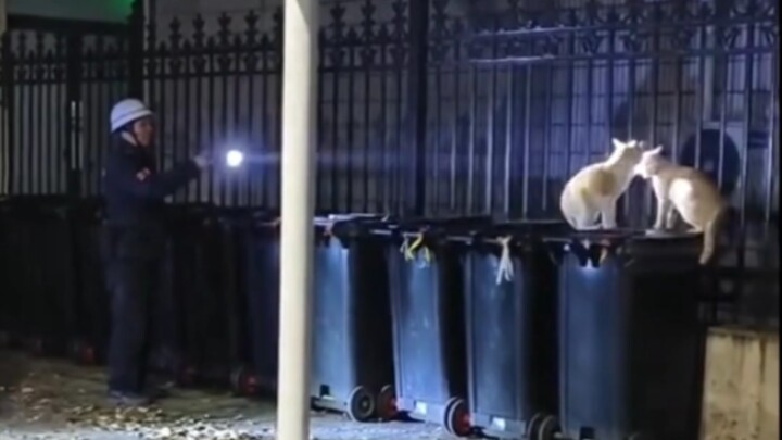 Kucing “benar-benar sangat membenci manusia yang tidak punya batas, ya!!!”