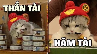 Sen Đi Đánh Bài Mang Mèo Thần Tài Theo, Nhưng Vẫn Thua Sạch Tiền 😂 | Yêu Lu