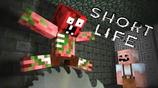 Monster School _ SHORT LIFE CHALLENGE - Minecraft Animation