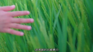 “极致的电影美学：绿”