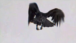 Garouden: Cô Lang Chi Đạo EP 4 [Sub Việt]